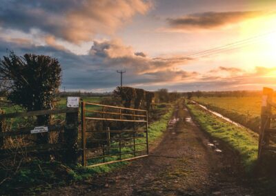 Brown Farm Gate and Green Grass Field