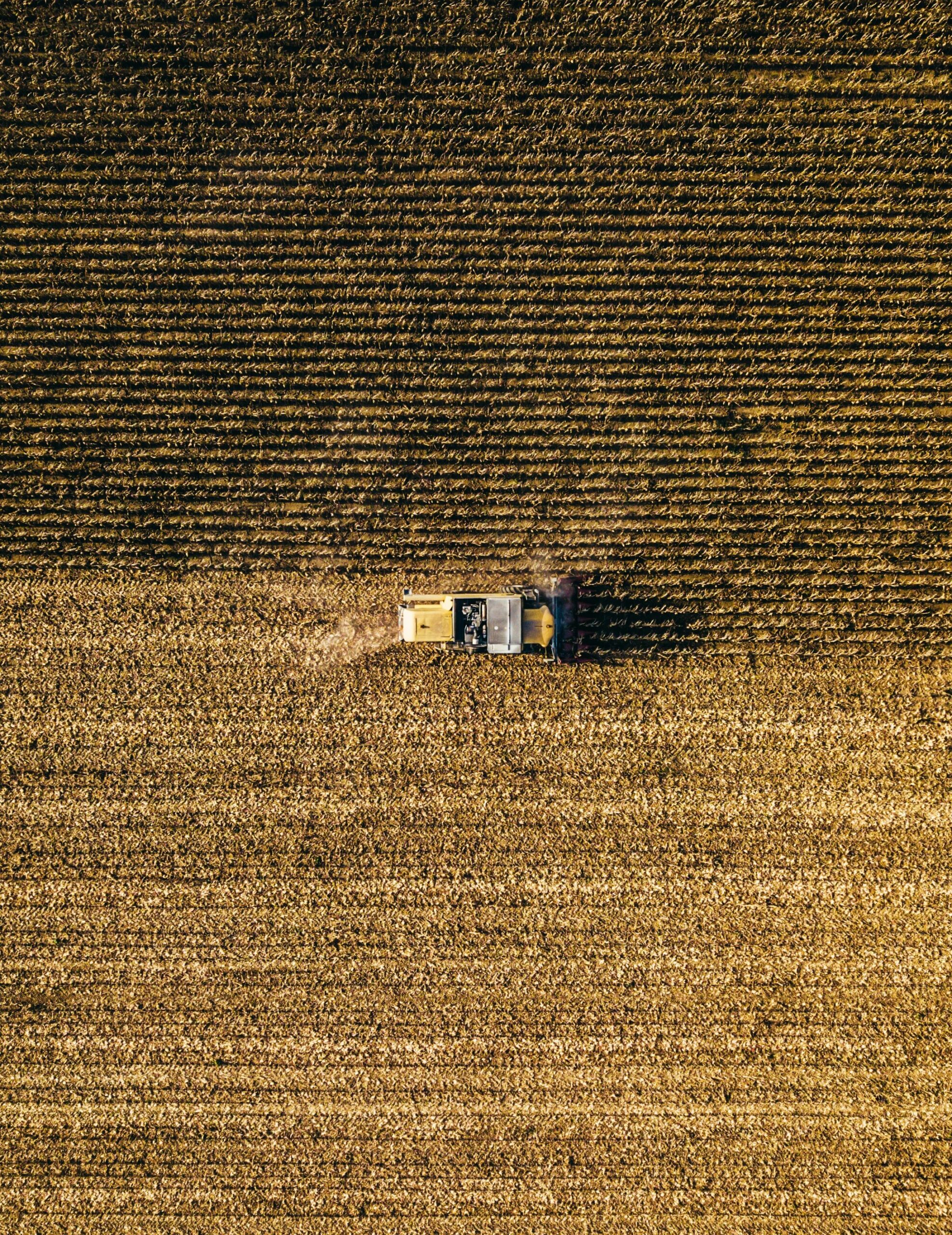 bence-balla-schottner-b1FS5jQrsLo-unsplash brown grass field under blue sky during daytime