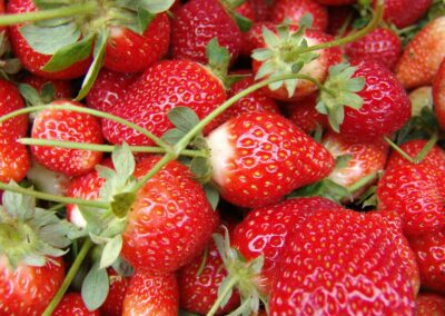 red strawberries on white ceramic plate
