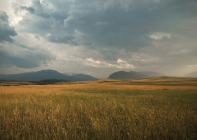 landscape photography of grass plains under cloudy sky during daytime