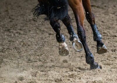 brown horse running on brown field during daytime